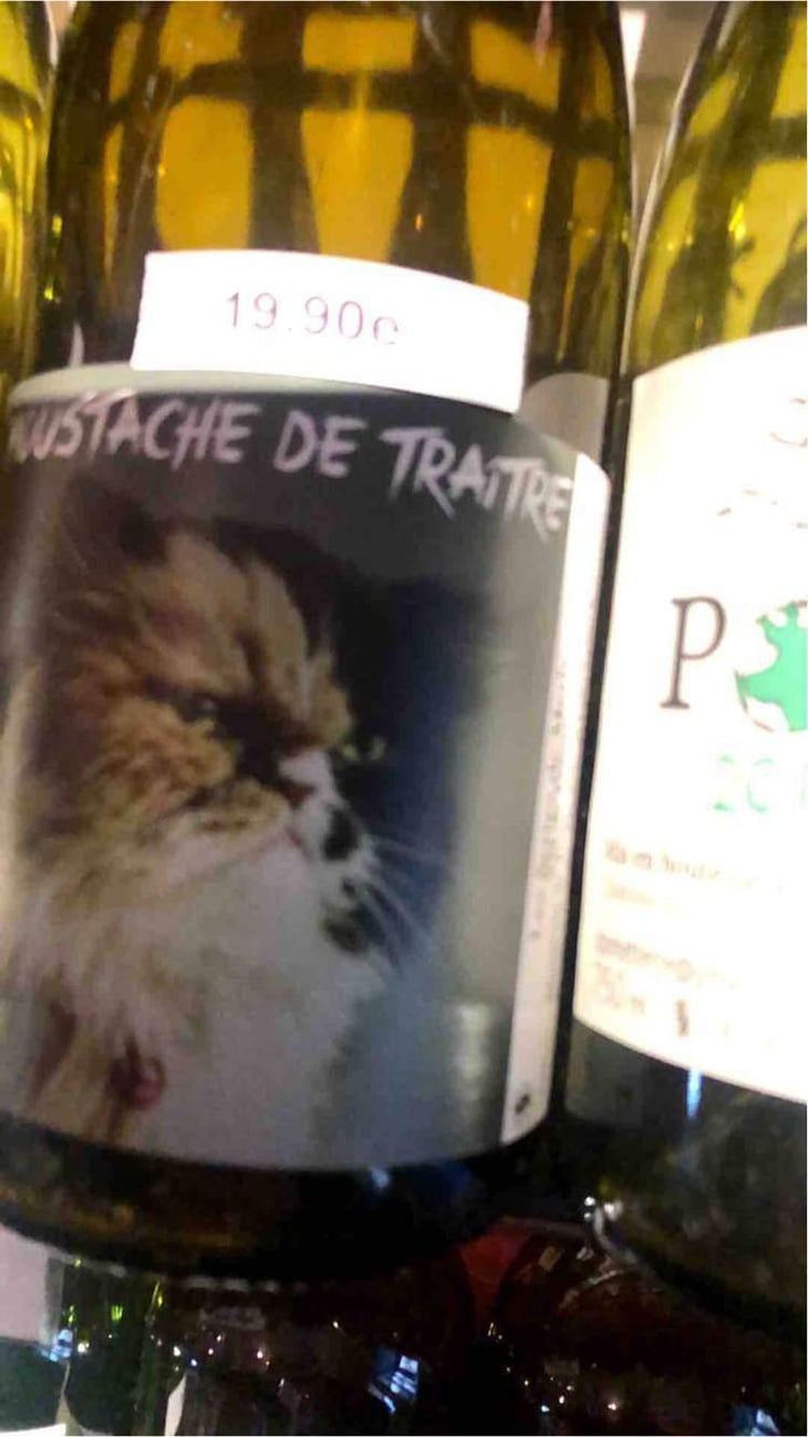 Moustache De Traitre - Domaine Meïgoon - Saharnaz Ahangi et Gauthier Ollivier 
