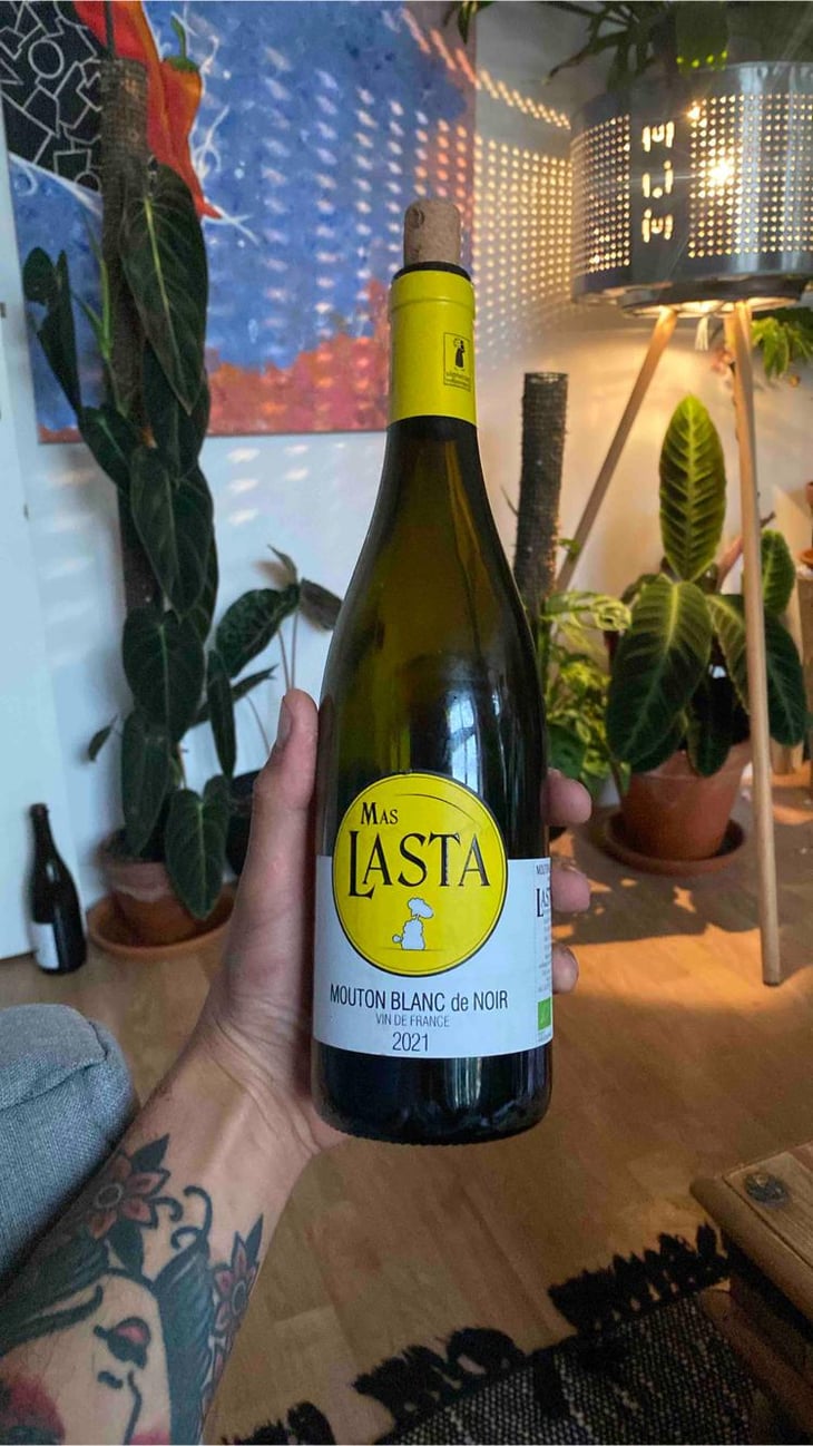 Mouton Blanc de Noir - Mas Lasta - Anne-Laure Sicard 