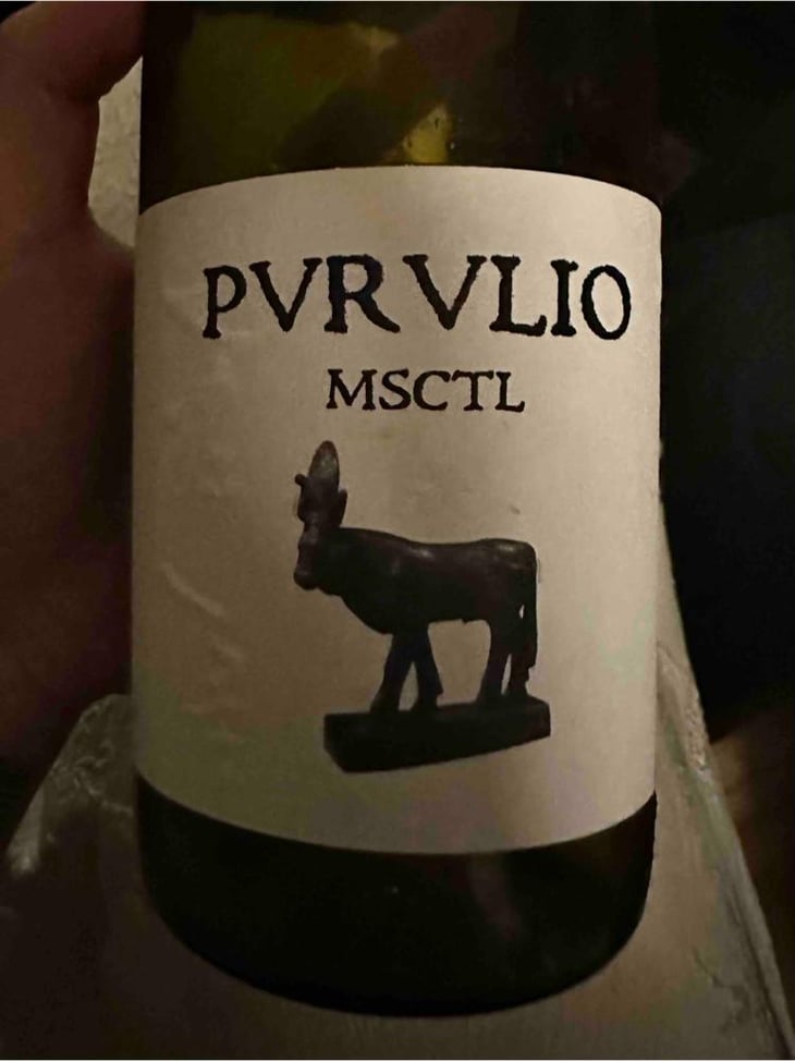 MSCTL - Viñas de Purulio-Bodega Torcuato Huertas Tomás - Tomás Torcuato Huertas 