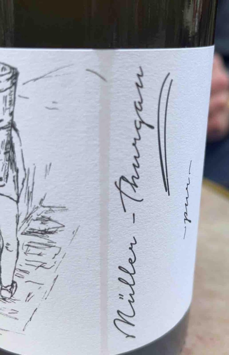 Müller Thurgau - Brand Bros - Weingut Brand - Daniel & Jonas Brand 