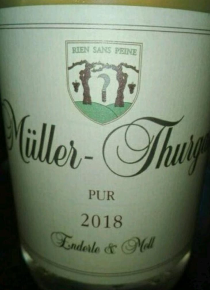 Müller Thurgau Pur - Enderle & Moll - Florian Moll & Max Lecat 