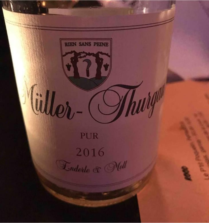 Müller Thurgau Pur - Enderle & Moll - Florian Moll & Max Lecat 