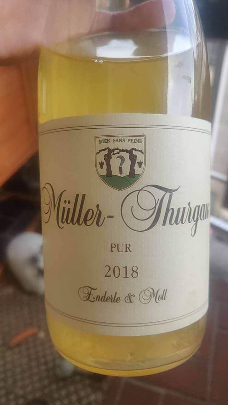 Müller Thurgau Pur - Enderle & Moll - Florian Moll & Max Lecat 