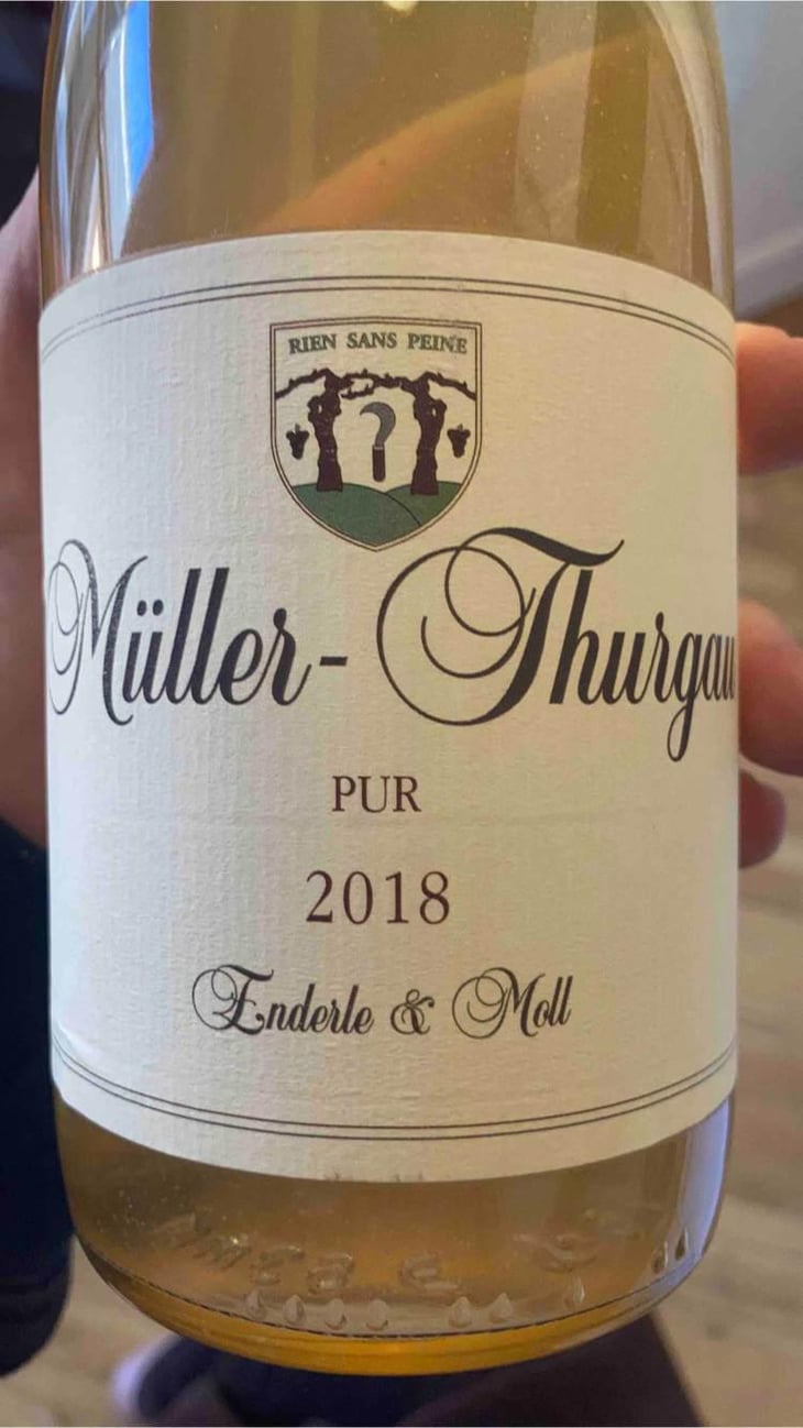 Müller Thurgau Pur - Enderle & Moll - Florian Moll & Max Lecat 