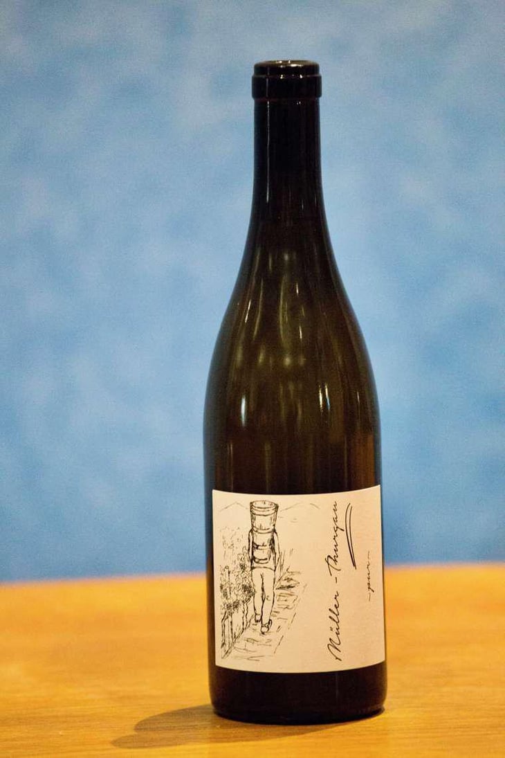 Müller Thurgau - Brand Bros - Weingut Brand - Daniel & Jonas Brand 