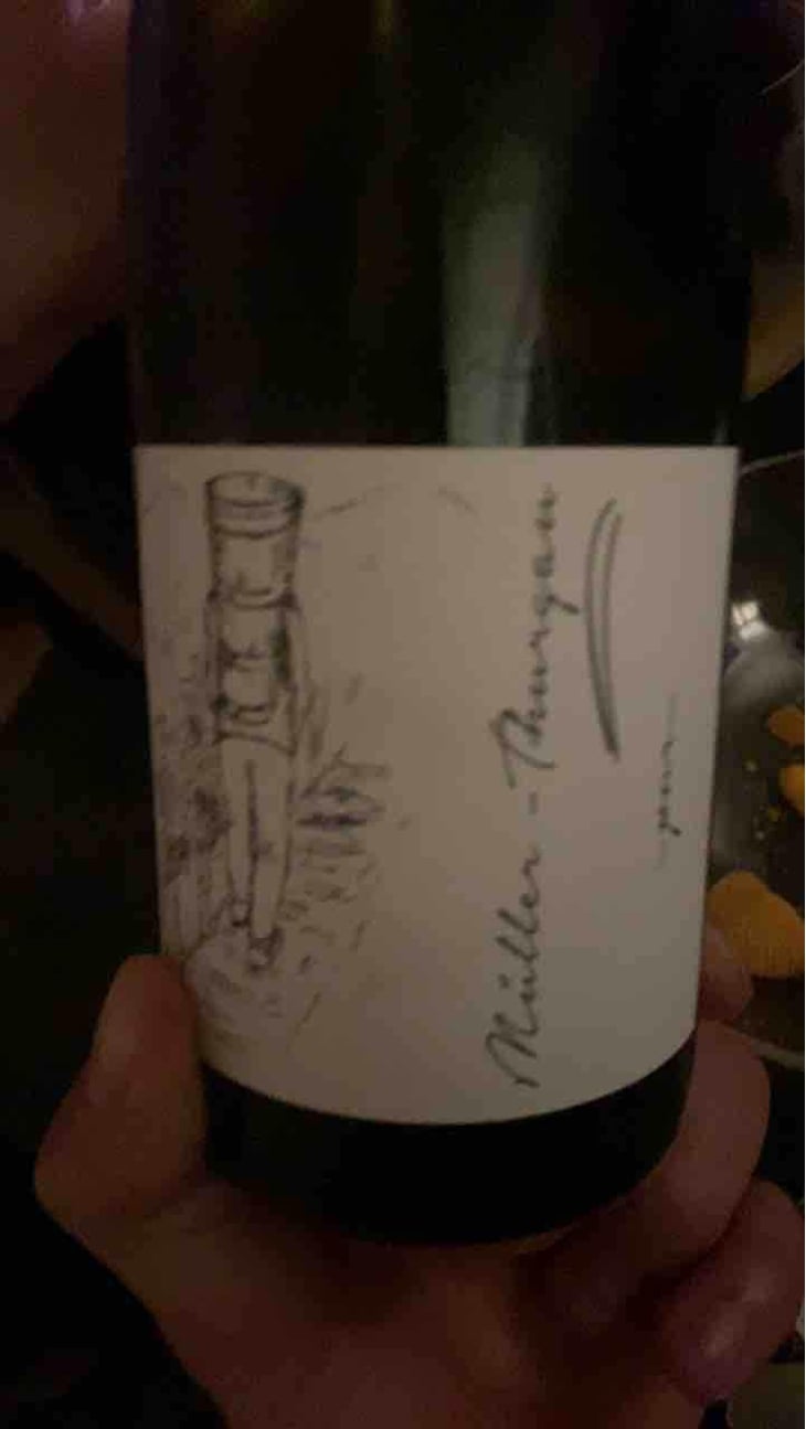 Müller Thurgau - Brand Bros - Weingut Brand - Daniel & Jonas Brand 