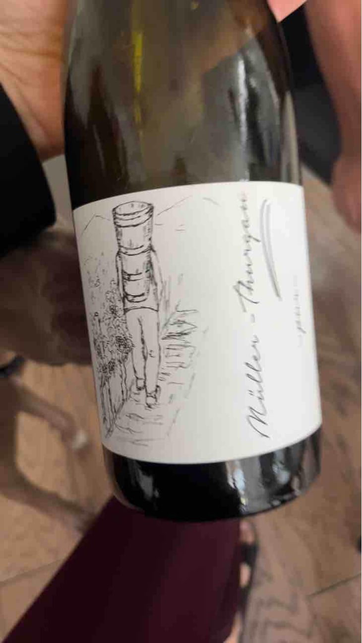 Müller Thurgau - Brand Bros - Weingut Brand - Daniel & Jonas Brand 