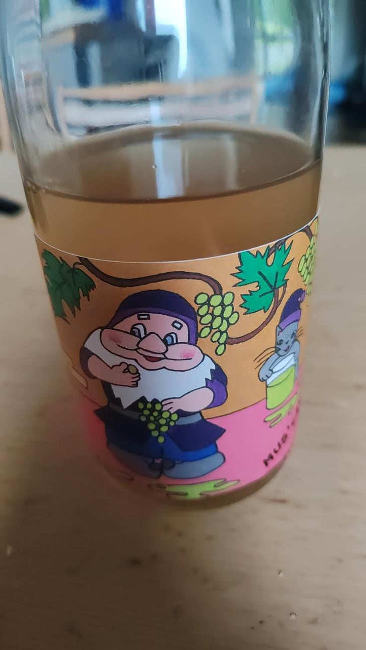 Mus' Cat - Domaine de l'Octavin - Alice Bouvot 