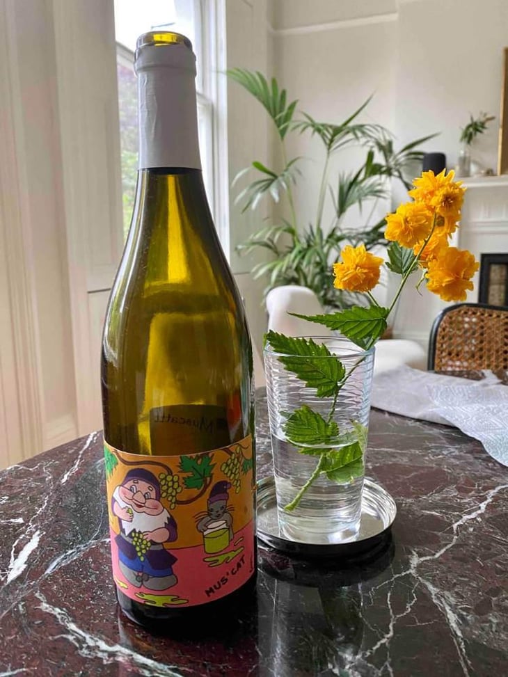 Mus' Cat - Domaine de l'Octavin - Alice Bouvot 