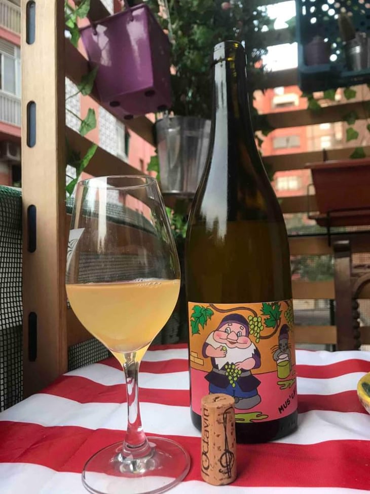 Mus' Cat - Domaine de l'Octavin - Alice Bouvot 
