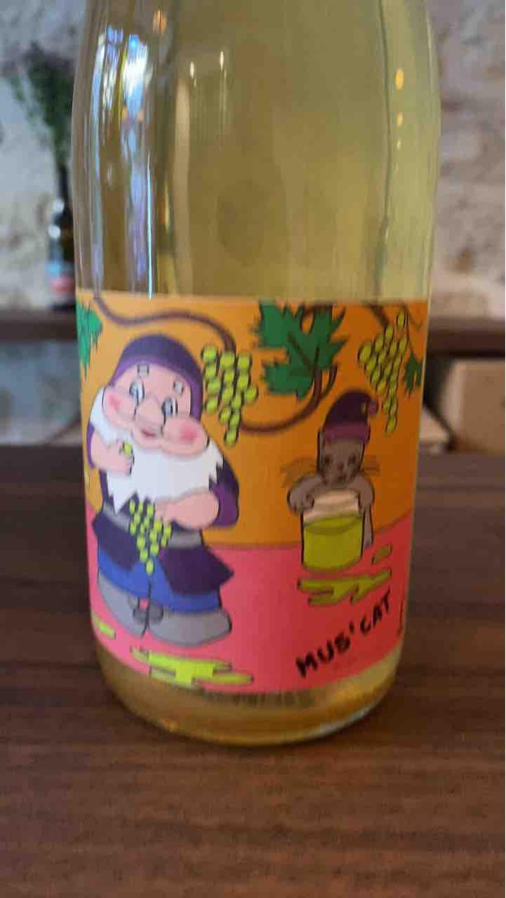 Mus' Cat - Domaine de l'Octavin - Alice Bouvot 