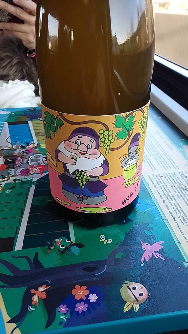 Mus' Cat - Domaine de l'Octavin - Alice Bouvot 