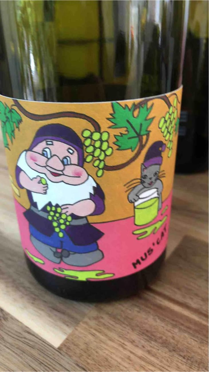 Mus' Cat - Domaine de l'Octavin - Alice Bouvot 
