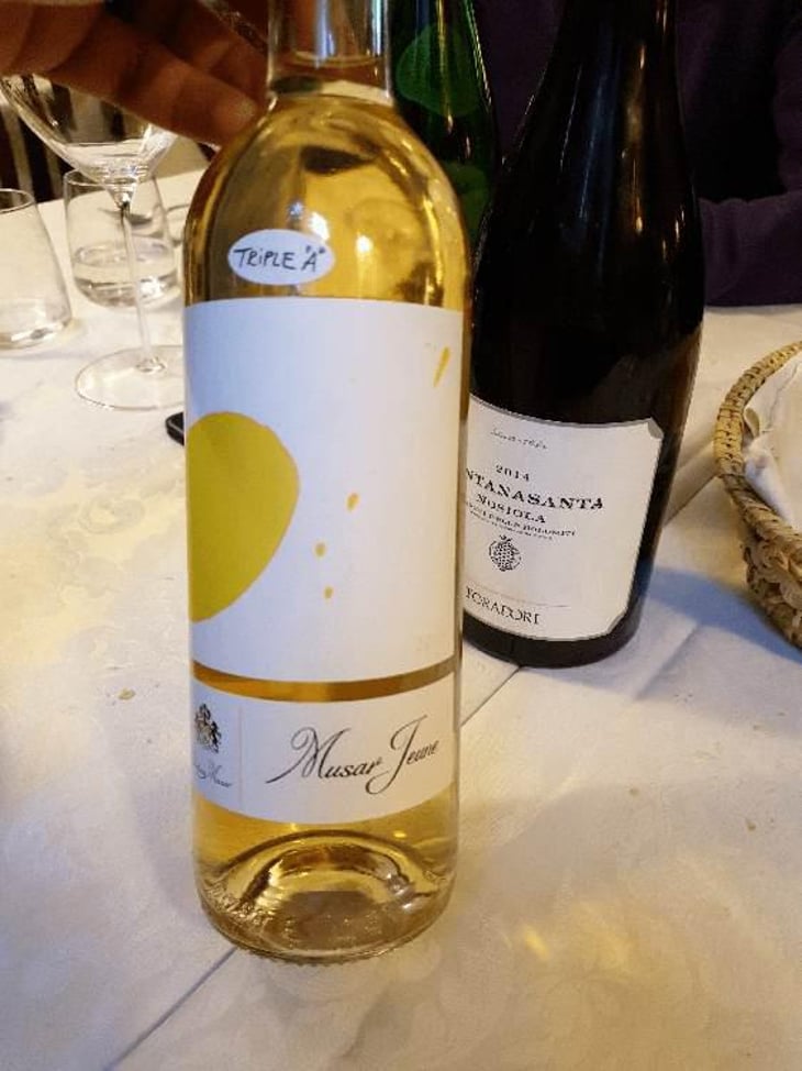 Musar Jeune Blanc - Musar - Ronald Hochar 
