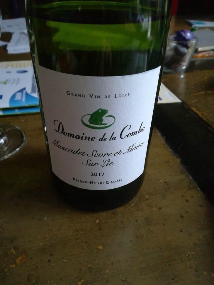 Muscadet - Domaine De La Combe - Pierre Henri Gardais 