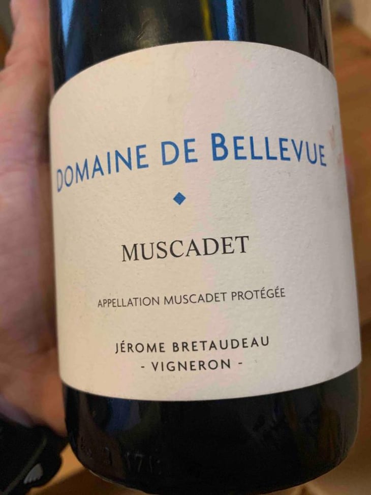 Muscadet - Domaine de Bellevue - Jérôme Bretaudeau 