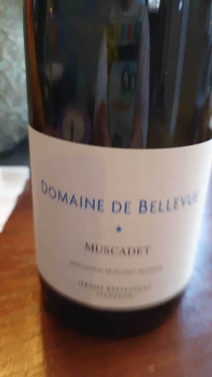Muscadet - Domaine de Bellevue - Jérôme Bretaudeau 
