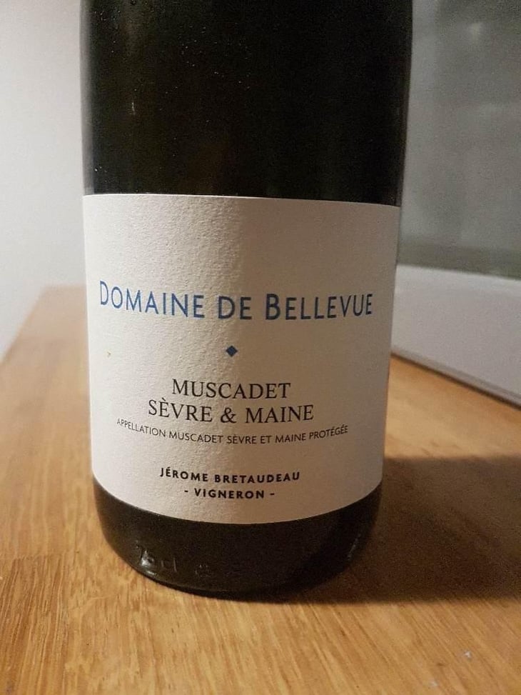 Muscadet - Domaine de Bellevue - Jérôme Bretaudeau 