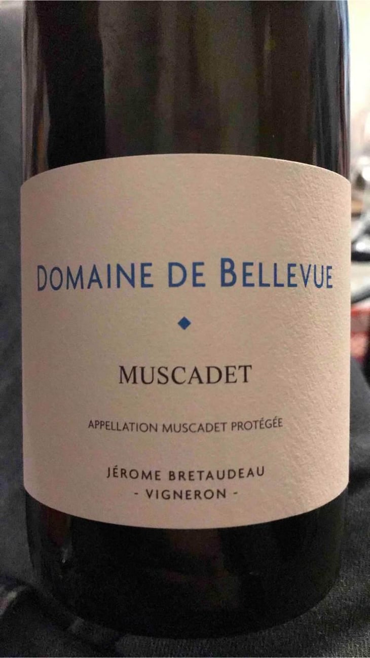 Muscadet - Domaine de Bellevue - Jérôme Bretaudeau 