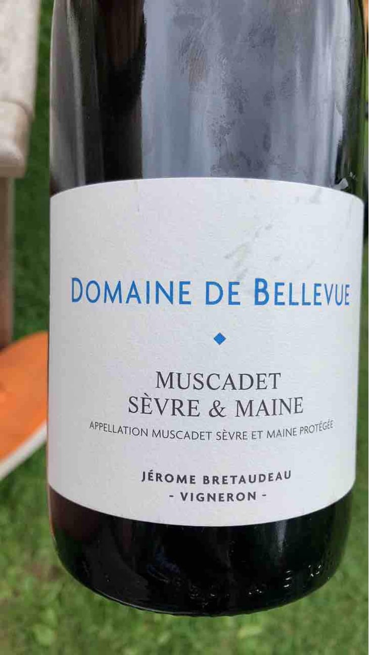 Muscadet - Domaine de Bellevue - Jérôme Bretaudeau 
