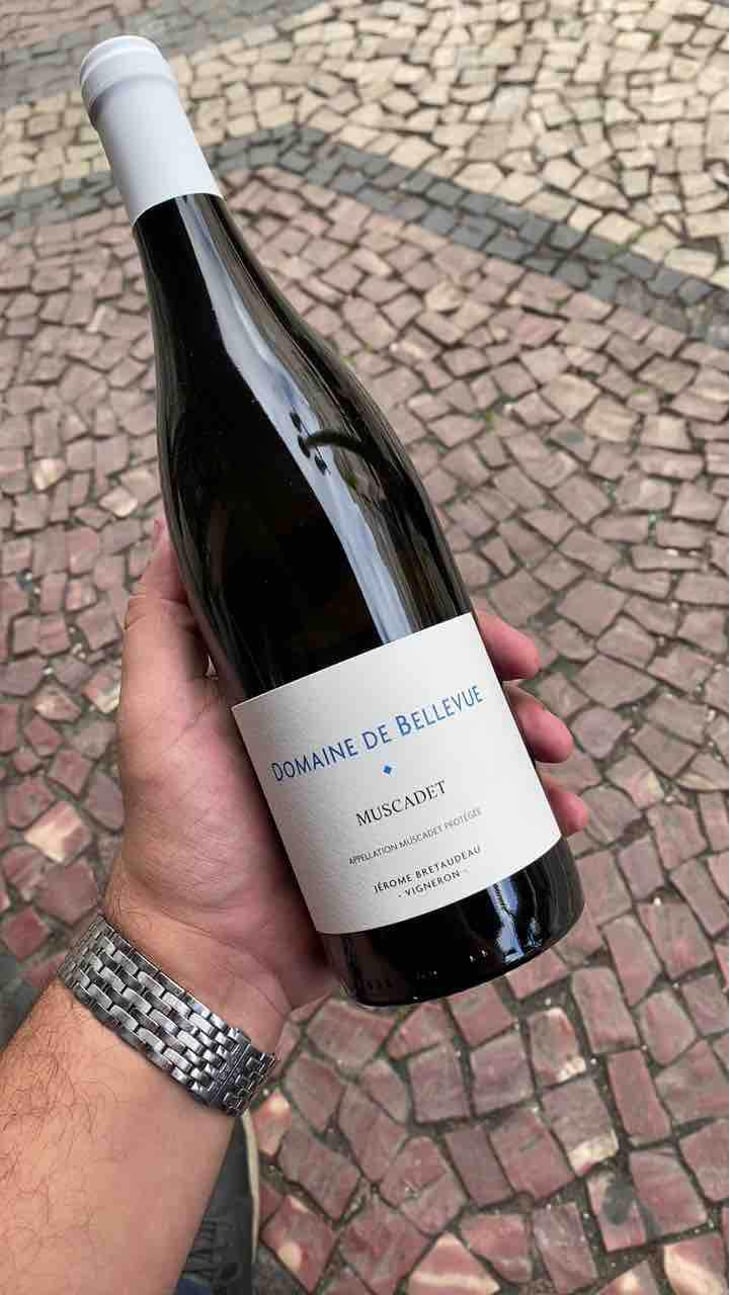 Muscadet - Domaine de Bellevue - Jérôme Bretaudeau 