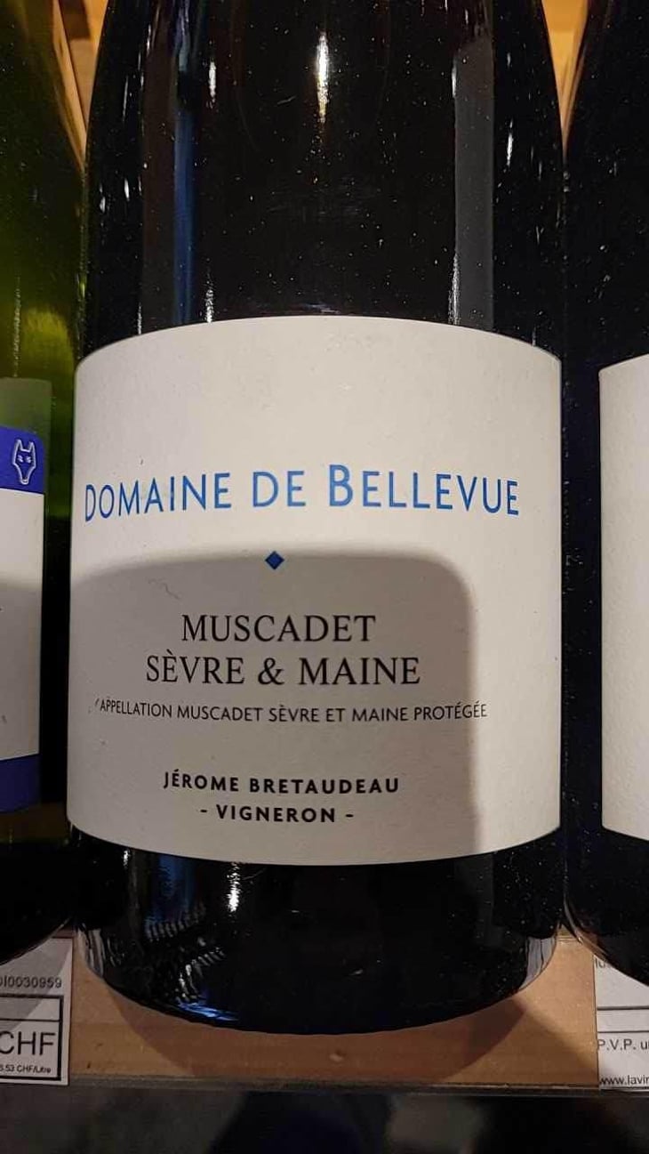 Muscadet - Domaine de Bellevue - Jérôme Bretaudeau 