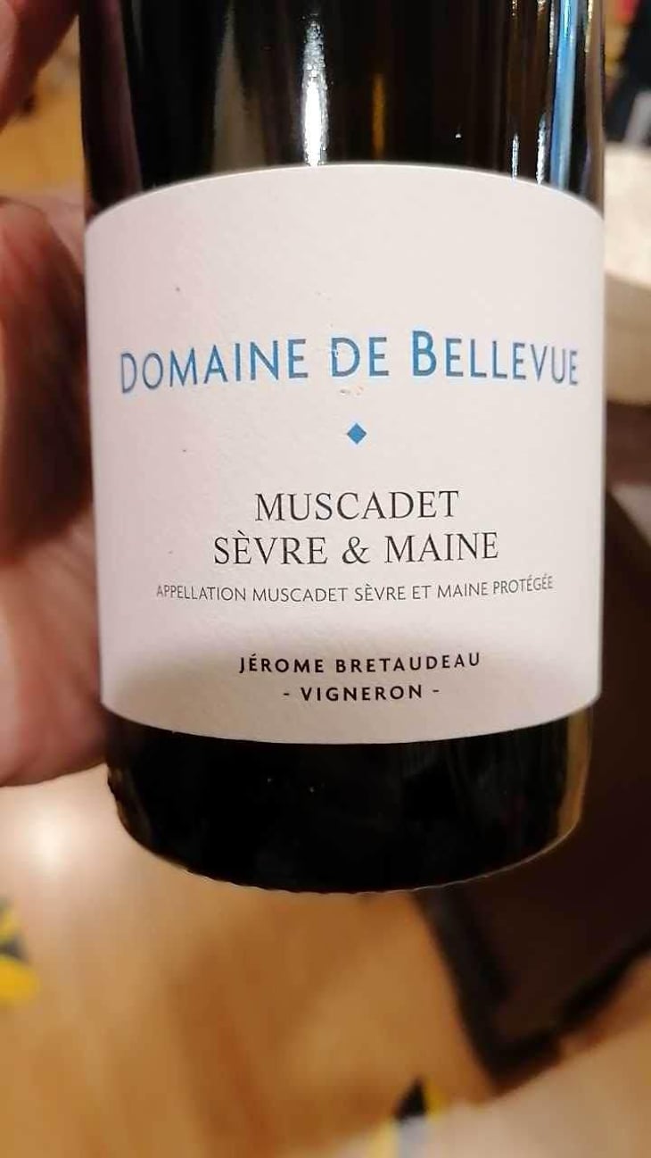 Muscadet - Domaine de Bellevue - Jérôme Bretaudeau 