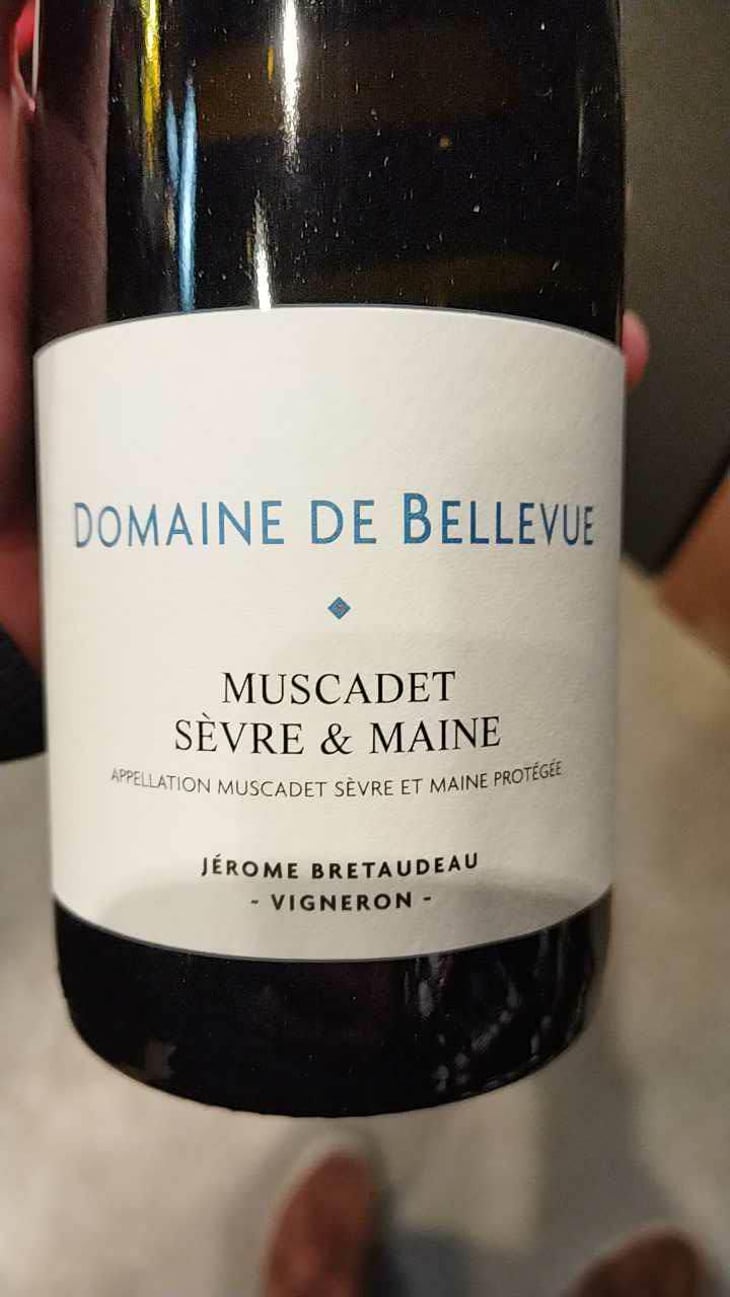 Muscadet - Domaine de Bellevue - Jérôme Bretaudeau 