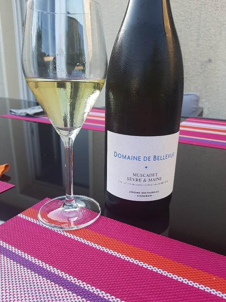 Muscadet Sèvre Et Maine - Domaine de Bellevue - Jérôme Bretaudeau 