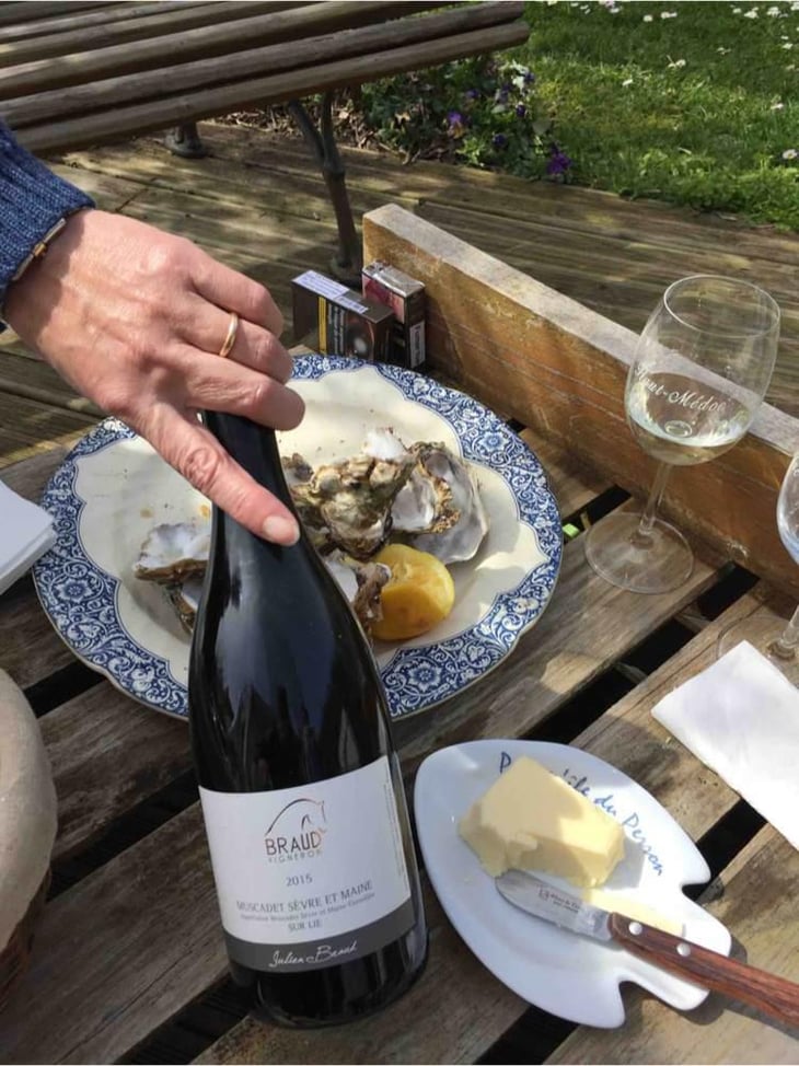 Muscadet Sèvre et Maine - Domaine Julien Braud - Julien Braud 