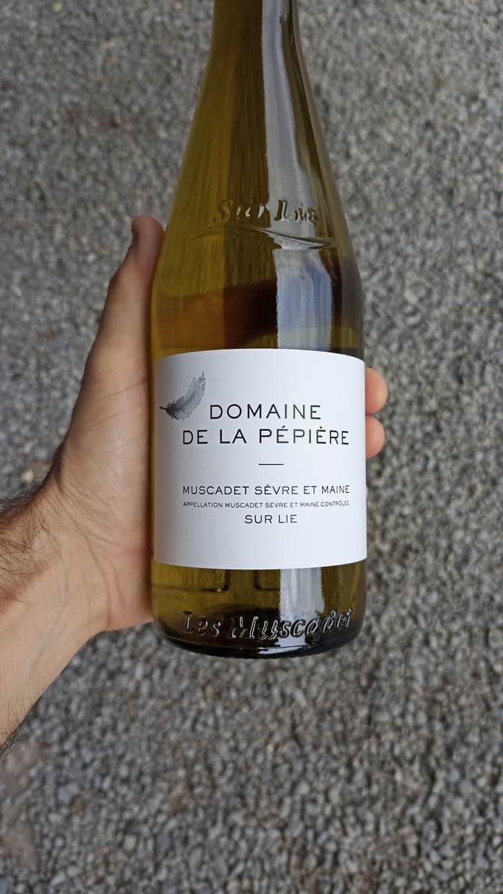 Muscadet Sèvre et Maine sur Lie - Domaine de la Pépière - Marc Ollivier, Rémi Branger & Gwénaëlle Croix 