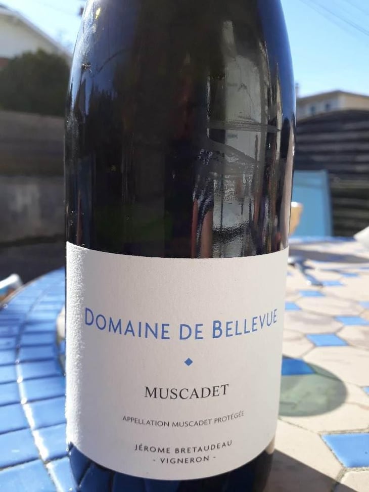 Muscadet Sèvre Et Maine - Domaine de Bellevue - Jérôme Bretaudeau 