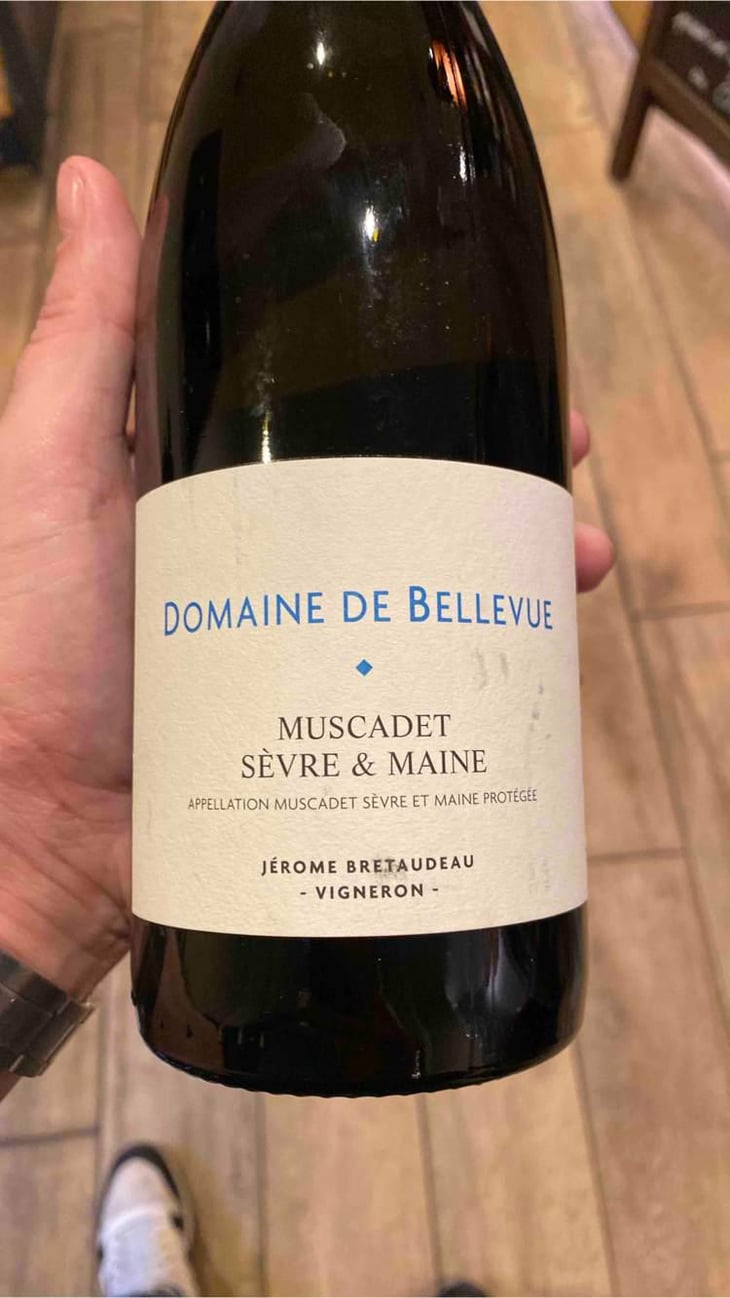 Muscadet Sèvre Et Maine - Domaine de Bellevue - Jérôme Bretaudeau 