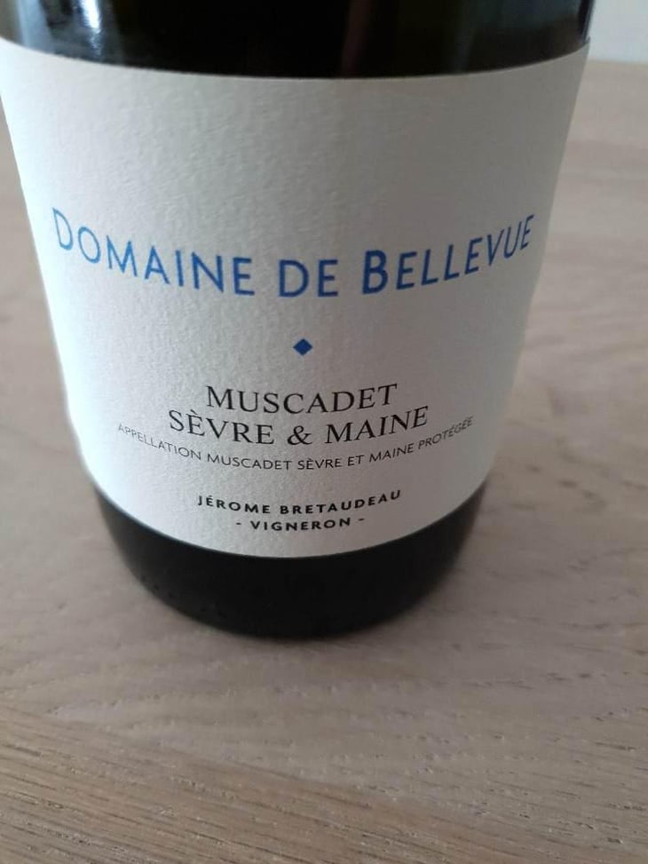 Muscadet Sèvre Et Maine - Domaine de Bellevue - Jérôme Bretaudeau 