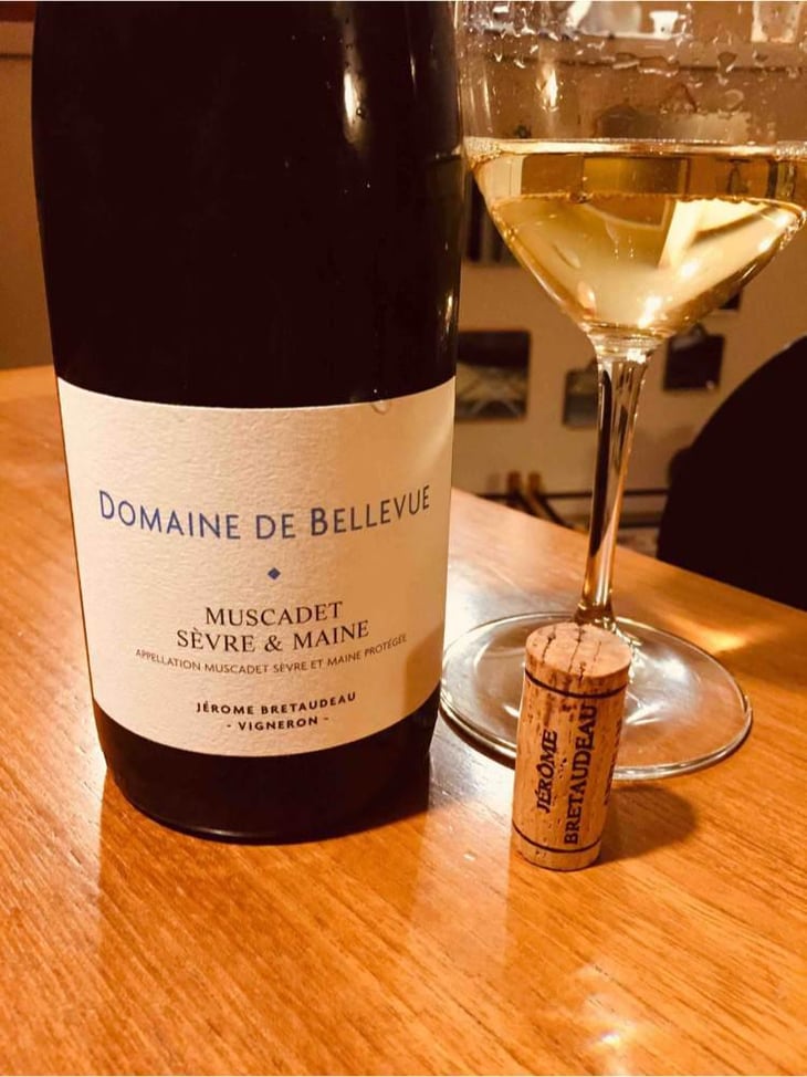 Muscadet Sèvre Et Maine - Domaine de Bellevue - Jérôme Bretaudeau 