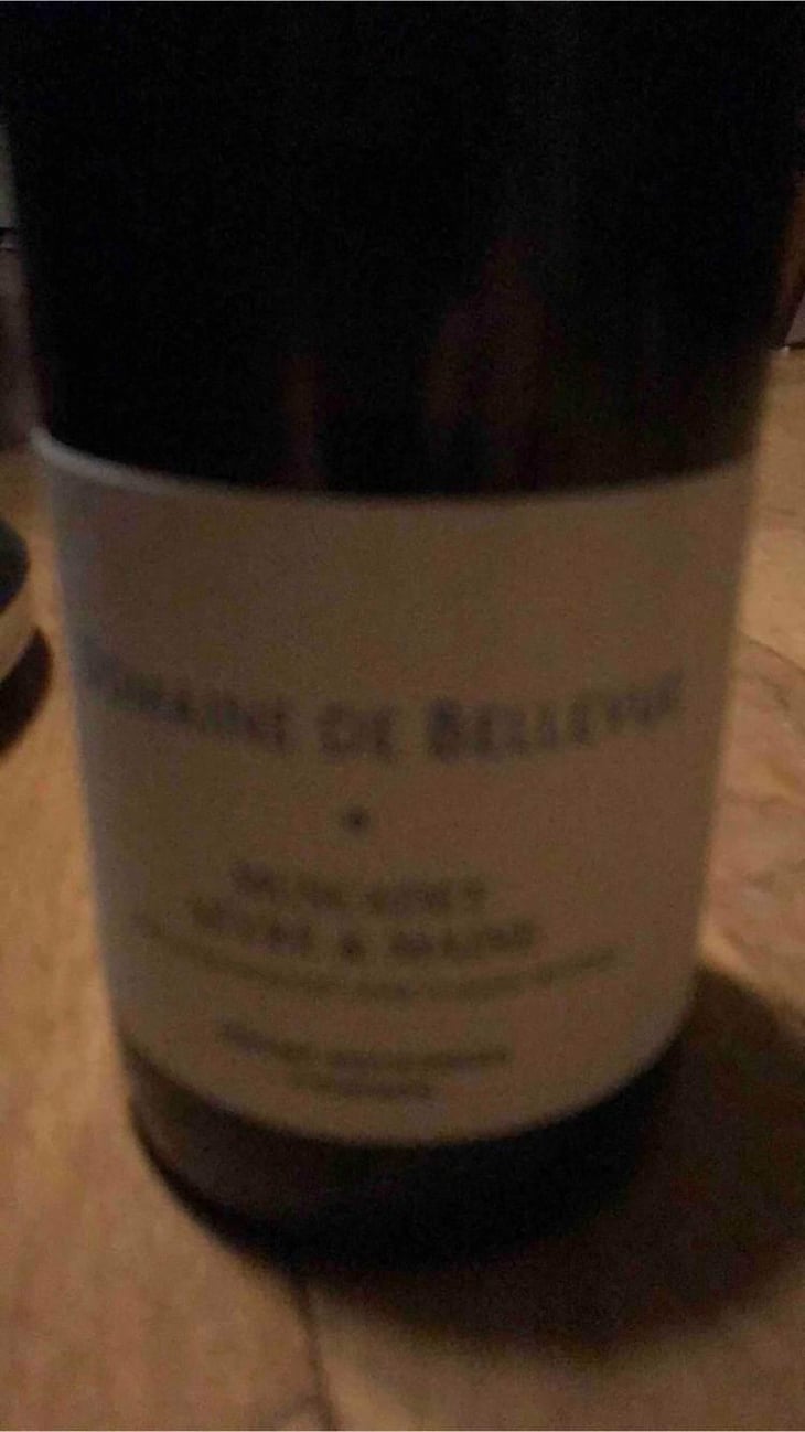 Muscadet Sèvre Et Maine - Domaine de Bellevue - Jérôme Bretaudeau 