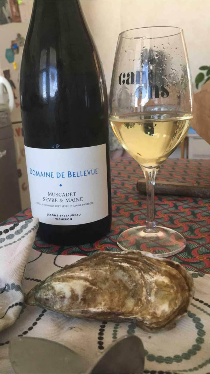 Muscadet Sèvre Et Maine - Domaine de Bellevue - Jérôme Bretaudeau 