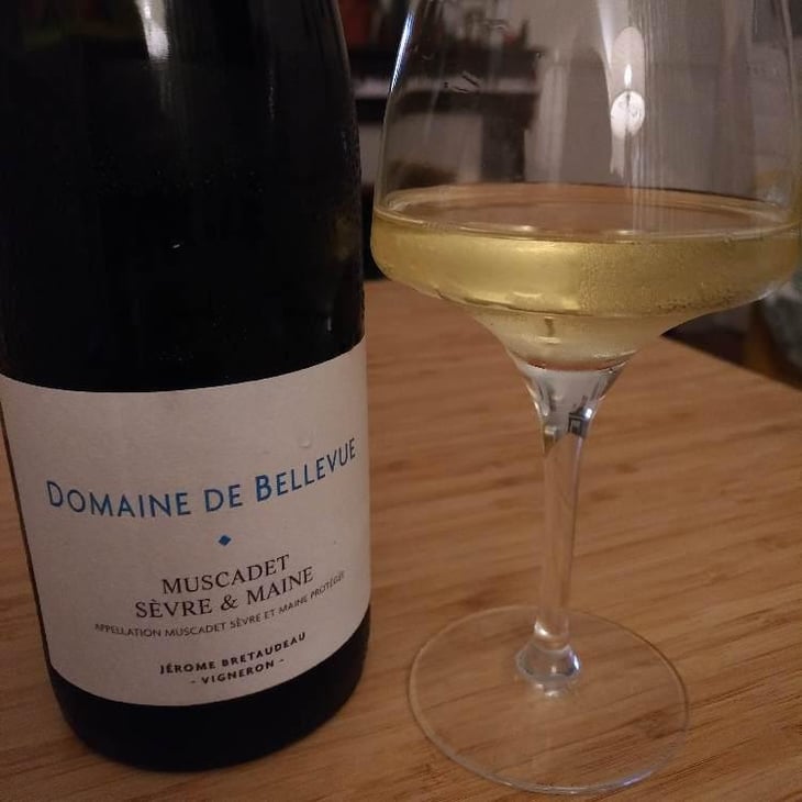Muscadet Sèvre Et Maine - Domaine de Bellevue - Jérôme Bretaudeau 