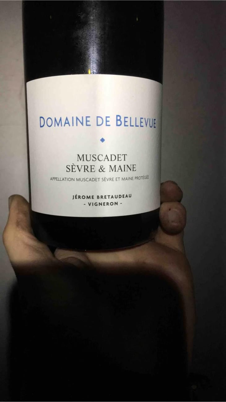 Muscadet Sèvre Et Maine - Domaine de Bellevue - Jérôme Bretaudeau 
