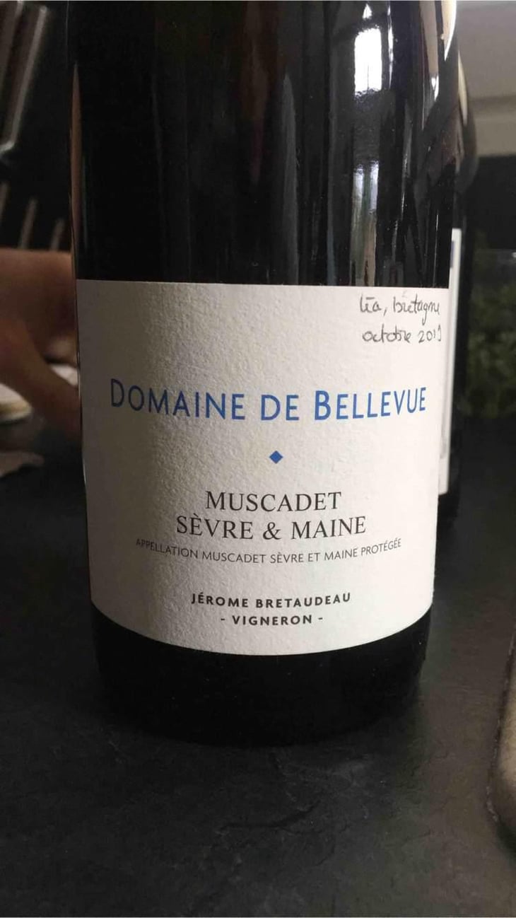 Muscadet Sèvre Et Maine - Domaine de Bellevue - Jérôme Bretaudeau 