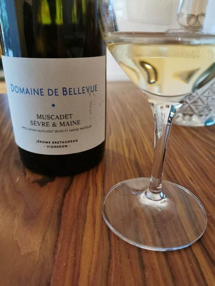 Muscadet Sèvre Et Maine - Domaine de Bellevue - Jérôme Bretaudeau 