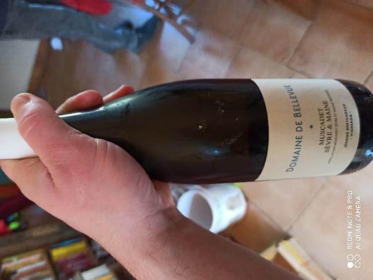 Muscadet Sèvre Et Maine - Domaine de Bellevue - Jérôme Bretaudeau 