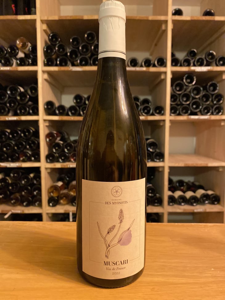 Muscari - Domaine des Myosotis - Justine Rivet et Romain Bourreau 