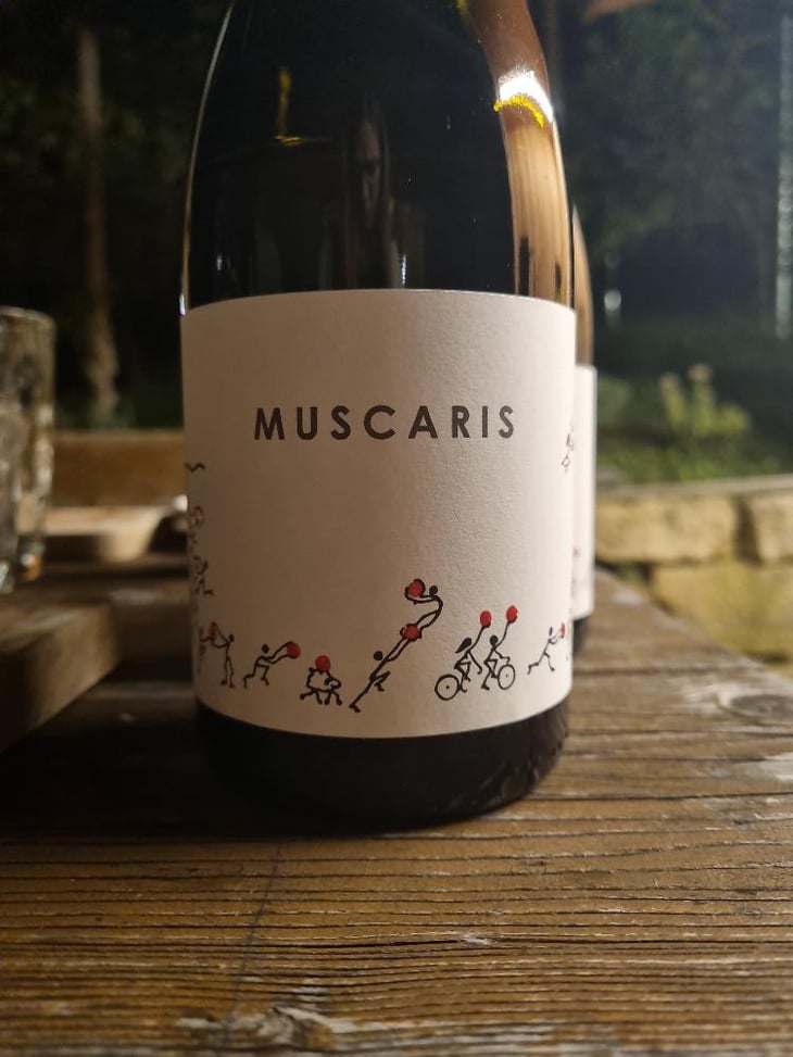 Muscaris - Josef Totter Wein - Josef Totter 