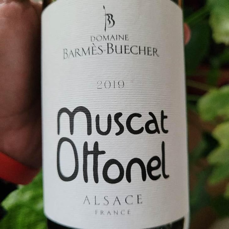 Muscat Ottonel - Domaine Barmès-Buecher - Geneviève, Maxime & Sophie Barmès -2019