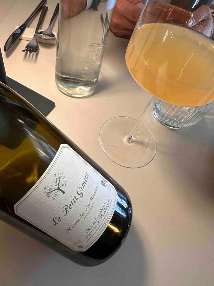 Muscat Sec Des Roumanis - Le Petit Domaine de Gimios - Anne-Marie Lavaysse 
