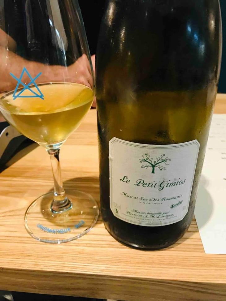 Muscat Sec Des Roumanis - Le Petit Domaine de Gimios - Anne-Marie Lavaysse 
