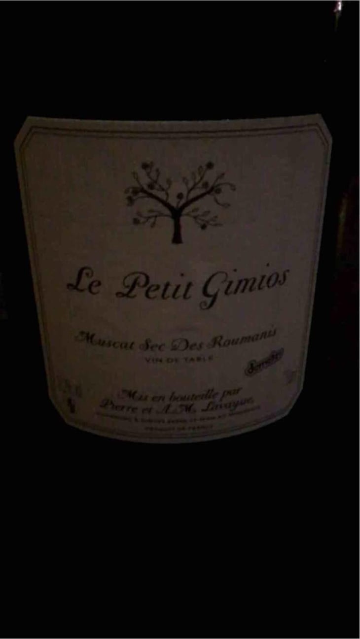 Muscat Sec Des Roumanis - Le Petit Domaine de Gimios - Anne-Marie Lavaysse 