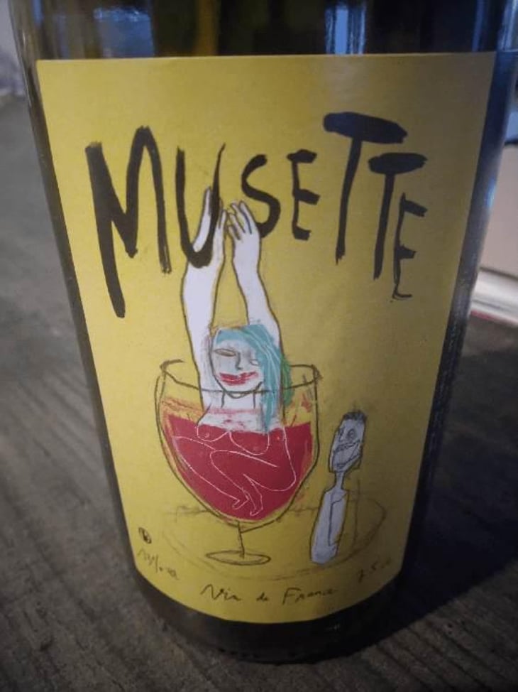 Musette - Simon Rouillard - Simon Rouillard 