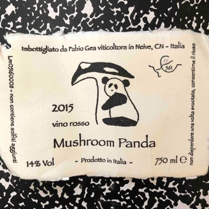 Mushroom Panda - Azienda Agricola Fabio Gea - Fabio Gea 